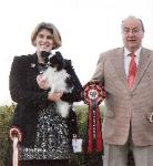 Annabelle BPIS at her last show in puppy