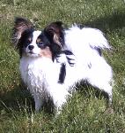 Bozza 9 months