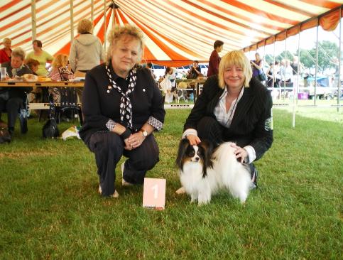 Bozza BOB and Group 3 Uden international show 