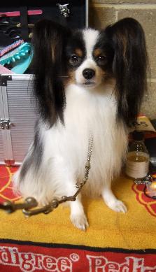 Bozza March 15 th after winning the group