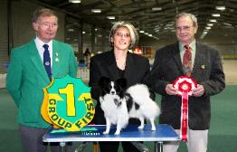 Spinillons Rebel Rowser JW Puppy Group 1 Photo by C A Johnson
