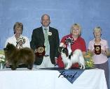 Bozza All breed RBIS Coventry and foleshill CS 07