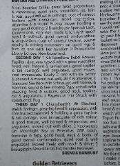 Good Citizens Class Stakes Win Leeds 2013