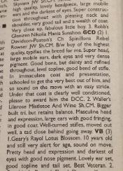 Rebel CC Write up from Good Citizen Class at Windsor 2013