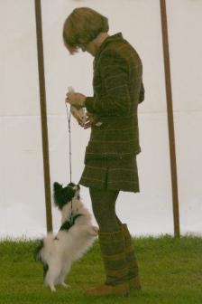 Jo and gilbert playing in the ring.
