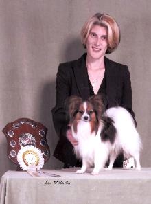 Midas having won the RDCC at the South of England Papillon Club Ch Show 09