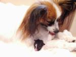 Tula and her baby who sadly died at 4 weeks