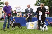 Rebels first Big Win, after beating 13 toys in the Puppy group!