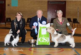 Rebel BIS Chichester ( Bozza BVIS )