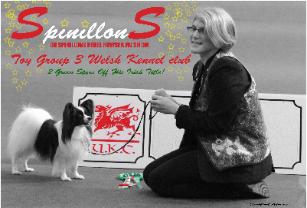 Rebel Special photo by Michaella