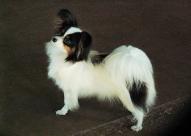 Another posing win lol 