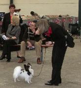 UKTOY 08 Saffire WIns the BCC under Kitty Sjong ( Denmark ) 