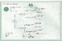Swiss Ch Spinillons Bonnie - Pedigree