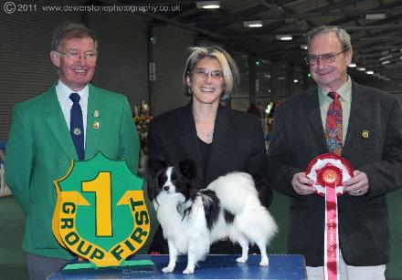 SWKA Puppy Group 1 Photos Oct 11  Photo by Louise Tope
