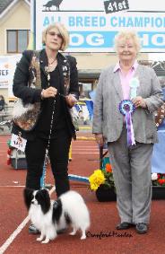 Champion Stakes Win at Tralee 2013 Under Brenda Banbury