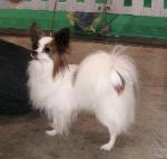 Timmy aged 10.5 years