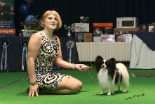 Ch Spinillons Rebel Rowser JW SH CM