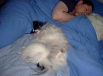 Plain Worn out after Showing