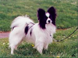 Zebedee 11 months