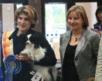 Saffire and BIS JUDGE JULIE SPARROW Club show 09