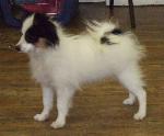 Spinillons Ditty Dot at 4months