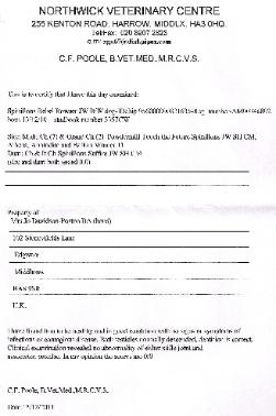 Rebel 2nd Patella and health Check, Passed ok for Breeding!