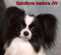 Spinillons Isadora JW BOB photos dec 08