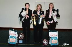JO with Her BIS and RBIS at the Papillon Butterfly Dog club Show