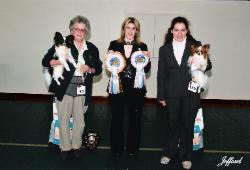 Jo with her BPIS and RBPIS at the Papillon Butterfly dog club show