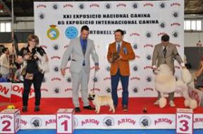 Rebel BOB & Group 2 - Martorell  Spain jun 16 