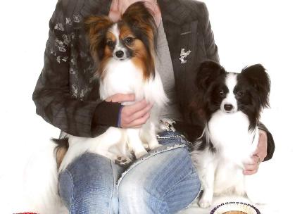 Midas with Gilbert (Powdermill  half Brothers )