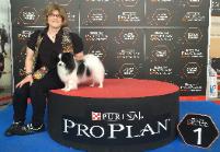 BOB and Group 2 - Rebel Spain 16 