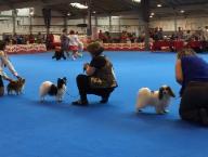 Rebel and Tiago in the Group Spain jun 16 