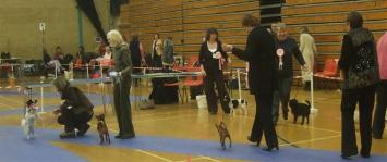 SAffy Winning the P Toy Group before going RBPIS AGAIN