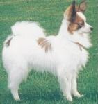 Timmy Aged 7 months