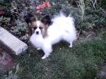 Tuli in Marians Garden